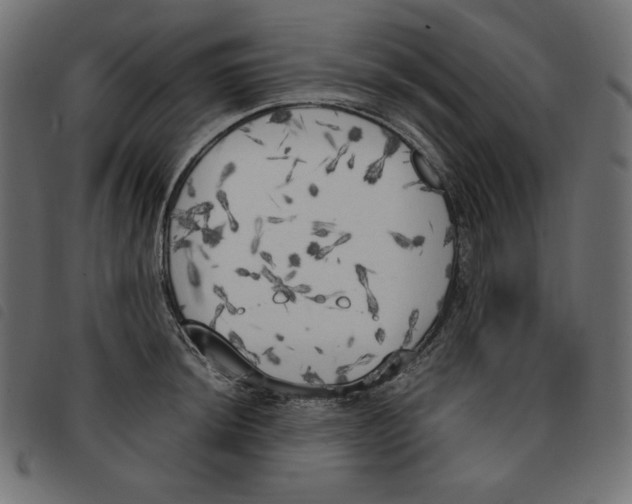 X0000092331044200710121530
