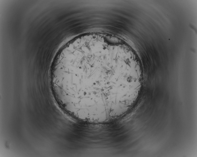 X0000092331045200710121530