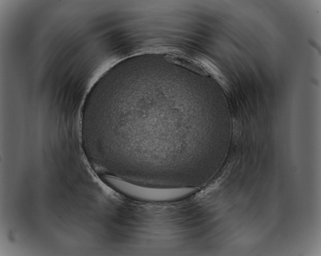 X0000092331046200710121530