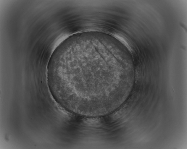 X0000092331047200710121530