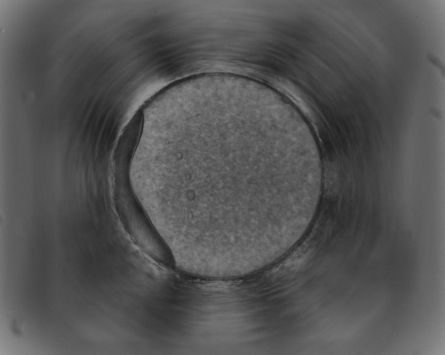 X0000092331048200710121530