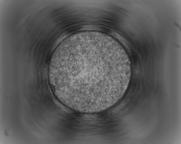 X0000092331049200710121530