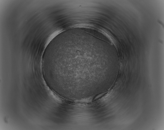 X0000092331050200710121530