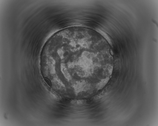 X0000092331051200710121530