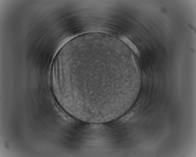 X0000092331052200710121530