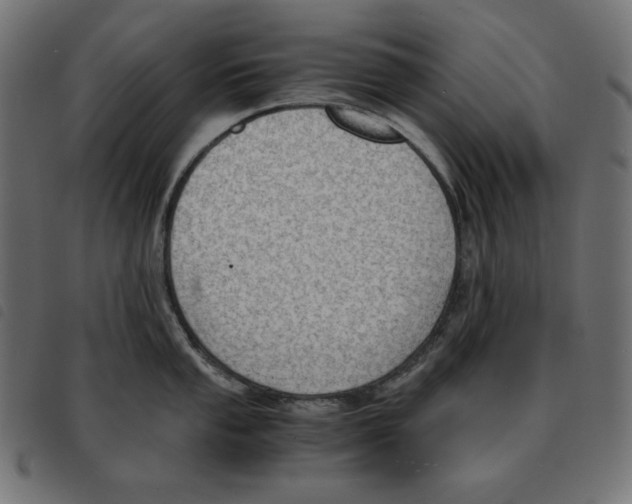 X0000092331053200710121530