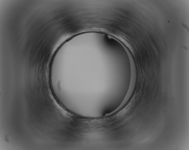 X0000092331054200710121530