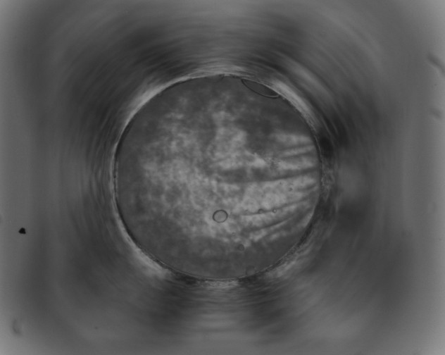 X0000092331055200710121530