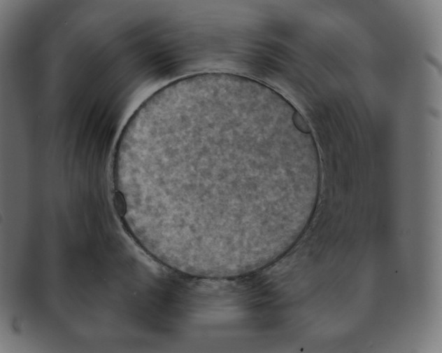 X0000092331056200710121530