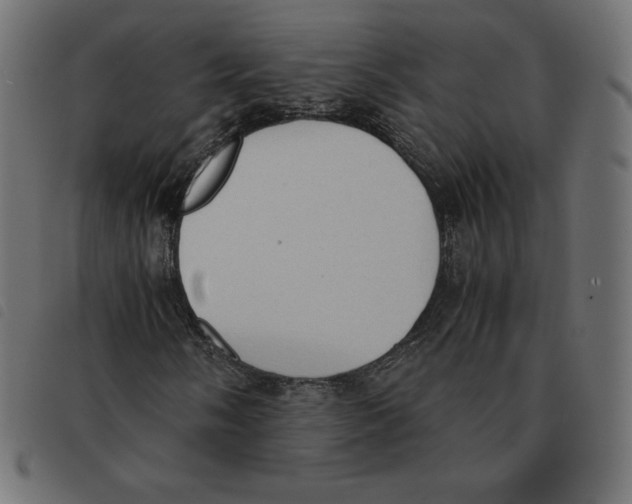 X0000092331058200710121529