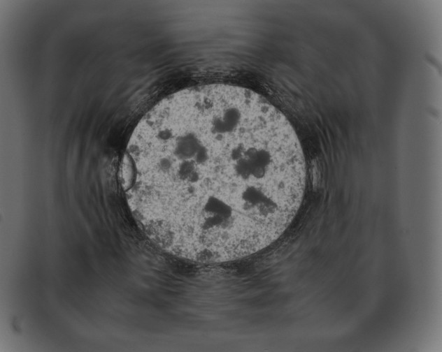 X0000092331059200710121529