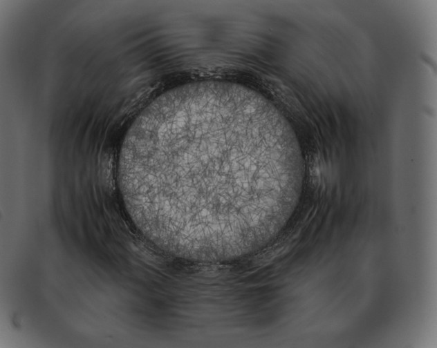 X0000092331060200710121529