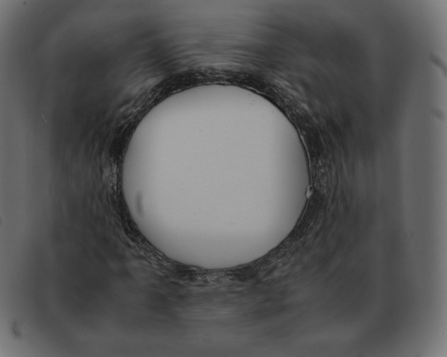 X0000092331061200710121529