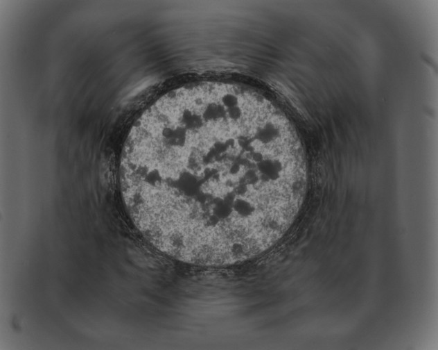 X0000092331063200710121529