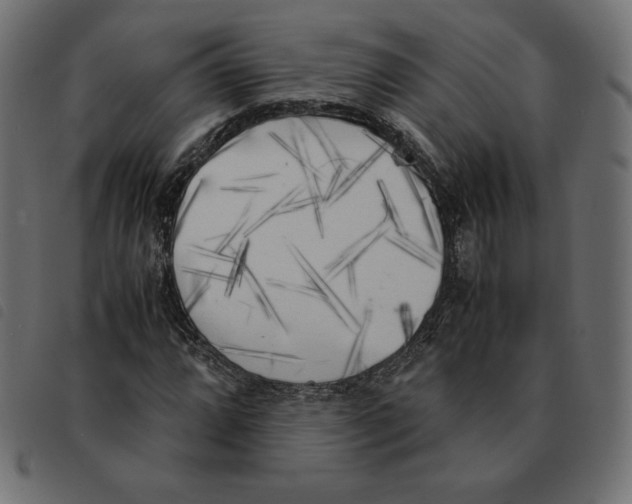 X0000092331064200710121529