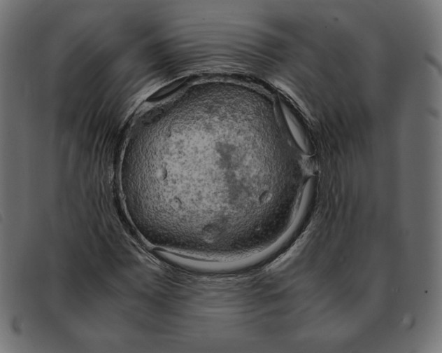 X0000092331065200710121529