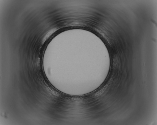 X0000092331066200710121529