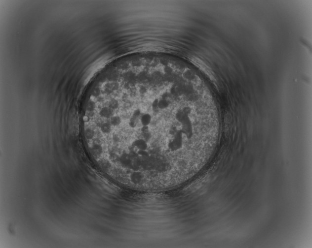 X0000092331067200710121529