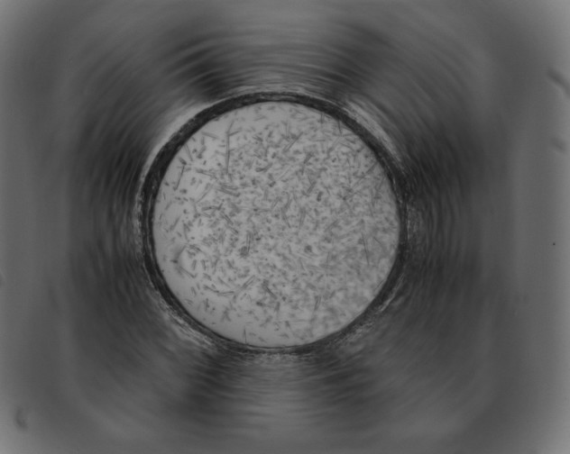 X0000092331068200710121529