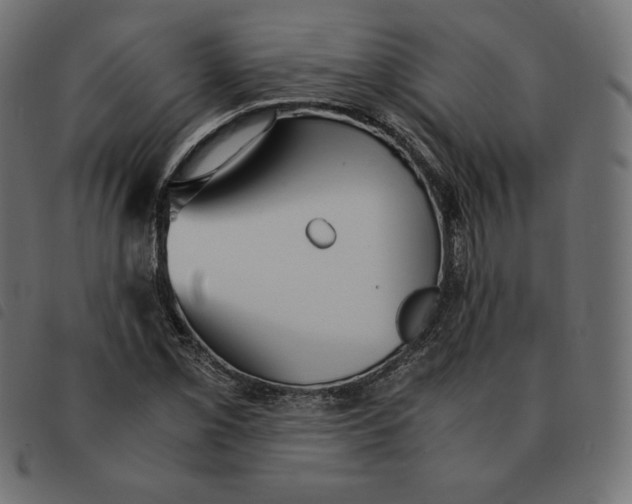 X0000092331069200710121529