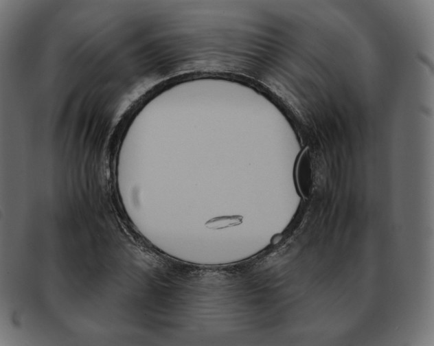 X0000092331070200710121529