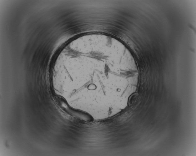 X0000092331072200710121529