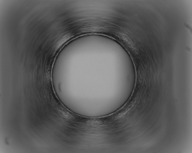 X0000092331073200710121529