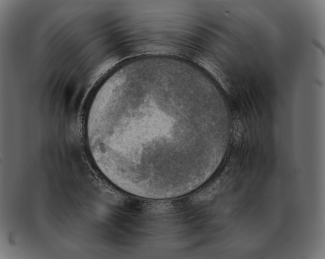 X0000092331074200710121529