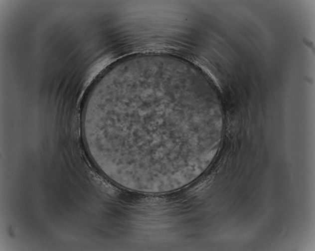 X0000092331075200710121529
