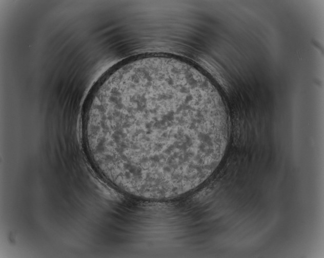 X0000092331076200710121529