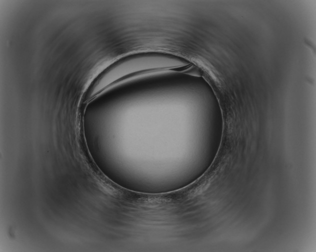 X0000092331077200710121529