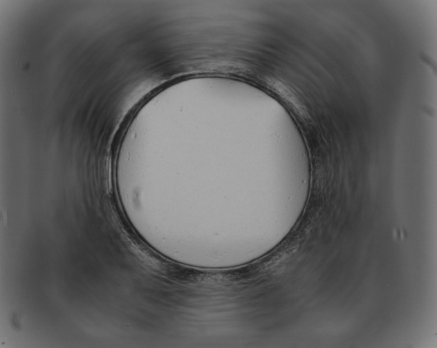 X0000092331079200710121529
