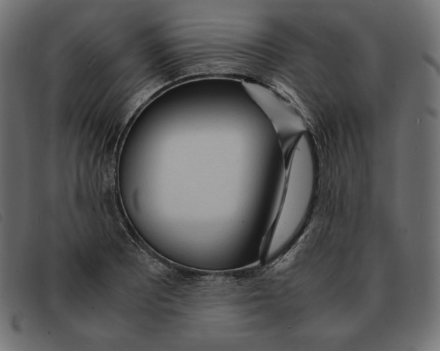X0000092331081200710121529