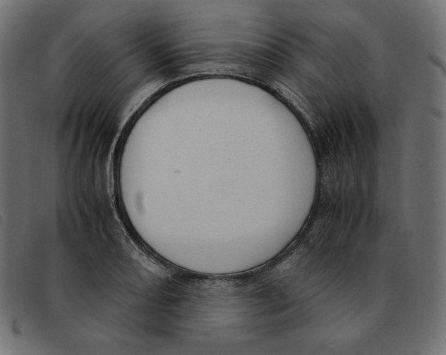 X0000092331082200710121529