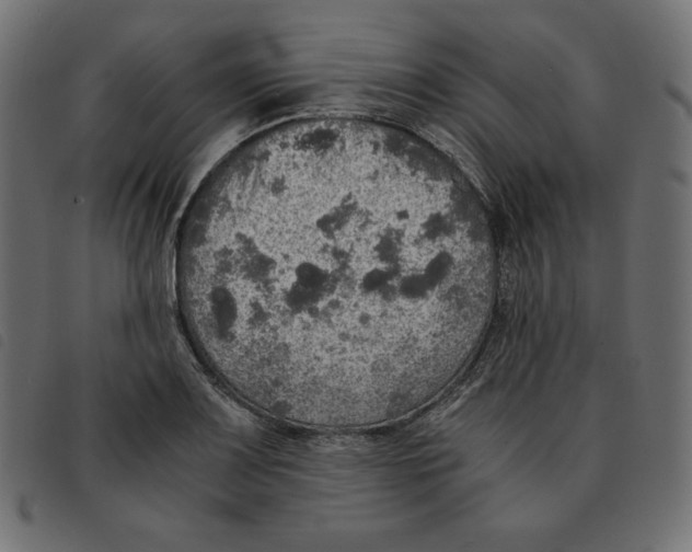 X0000092331083200710121529
