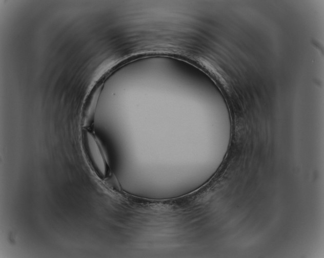 X0000092331085200710121529