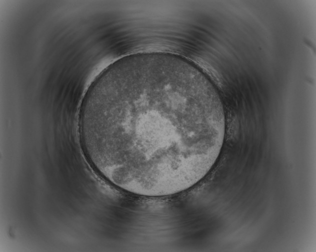 X0000092331086200710121529