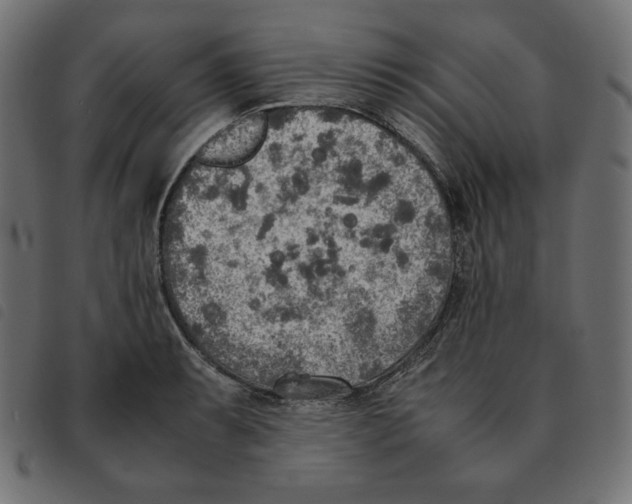 X0000092331087200710121529