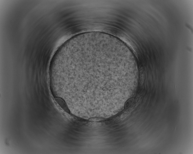 X0000092331088200710121529