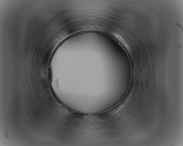 X0000092331089200710121529