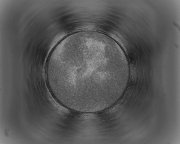 X0000092331090200710121529