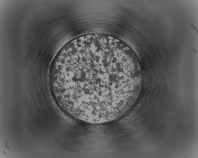 X0000092331091200710121529