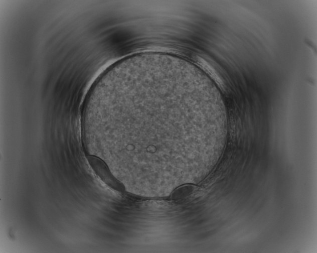 X0000092331092200710121529