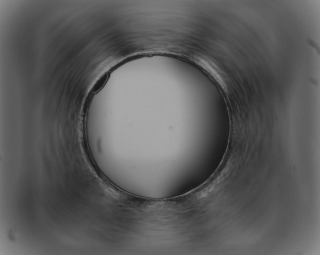 X0000092331093200710121529