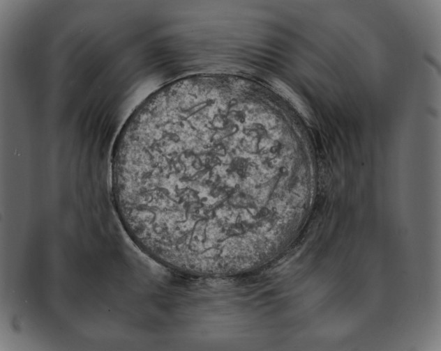 X0000092331095200710121529