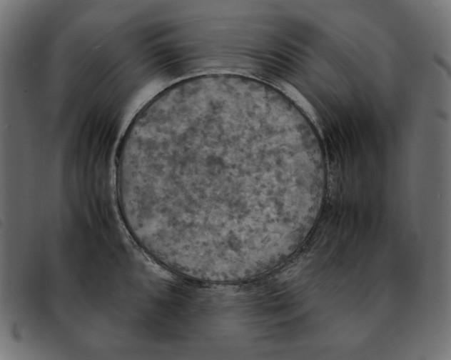 X0000092331096200710121529