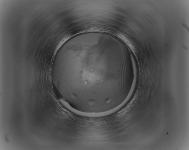 X0000092331097200710121529