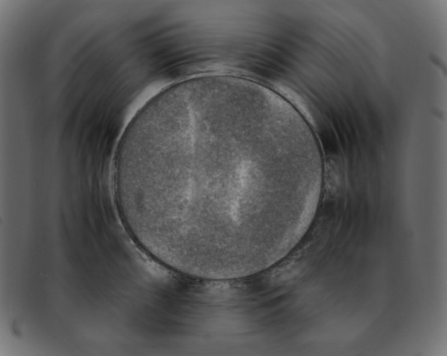 X0000092331098200710121529