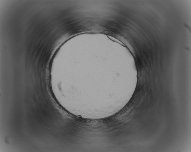 X0000092331099200710121528