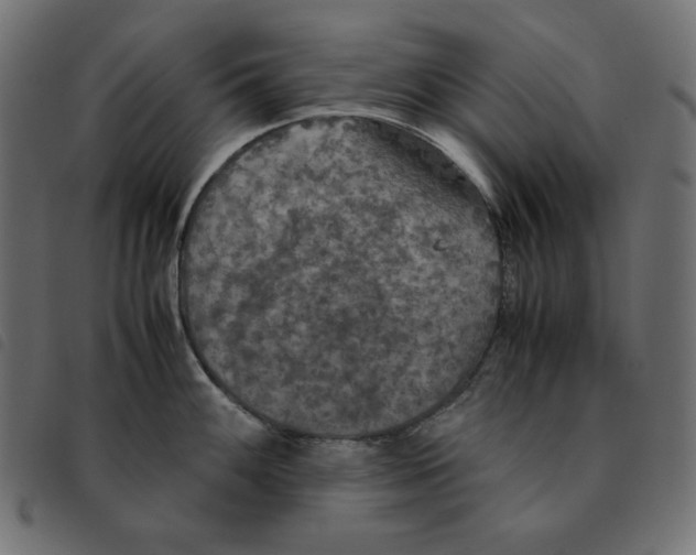 X0000092331100200710121528